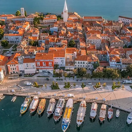 别墅 Modern Casetta Molindrio With Pool In 波雷奇